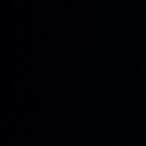 Meet your Posher, Rey